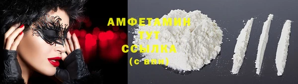 дмт Алзамай